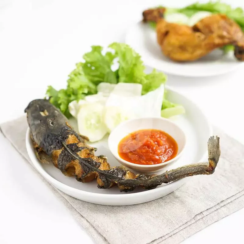 lele goreng